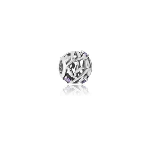 Evolve February Wisdom Charm