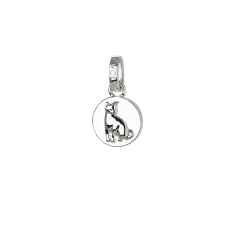 Evolve Cat Independent Charm