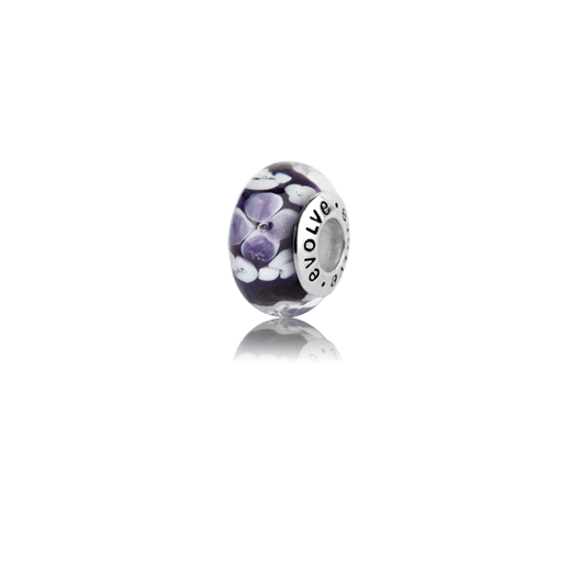 Evolve Te Anau Charm