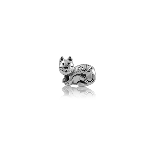Evolve Kitty Cat Charm