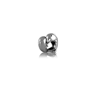 Evolve Dusky Dolphin Charm