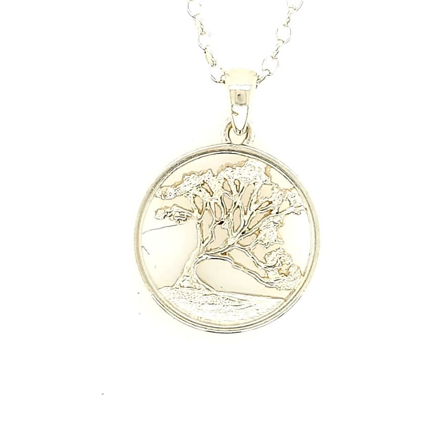 Wanaka Tree Large Round Silver Pendant and Chain