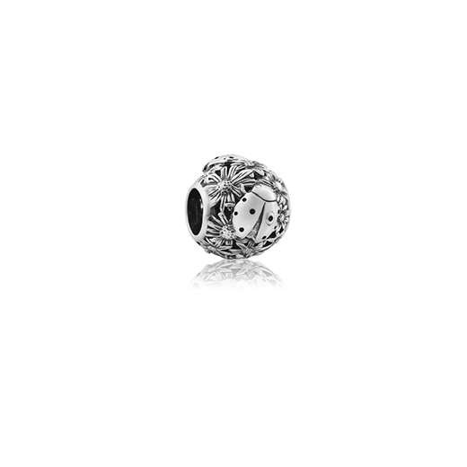 Evolve Ladybird Charm