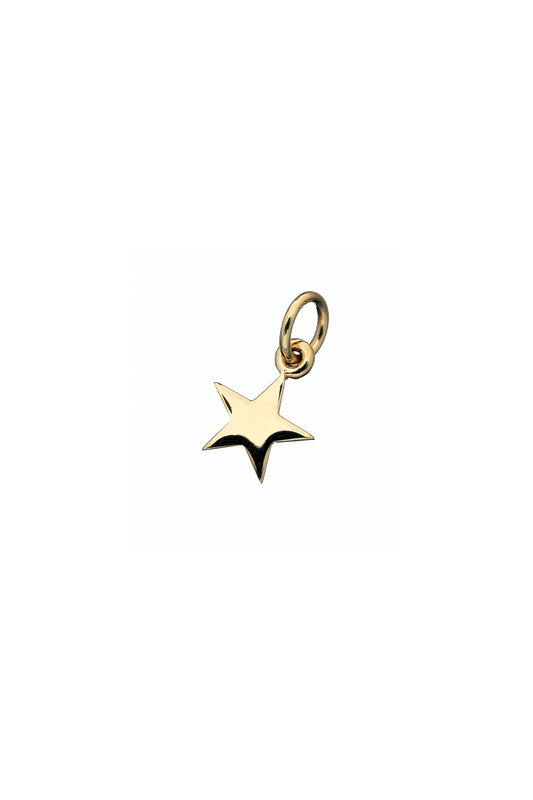 Karen Walker Golden Icon Star Charm
